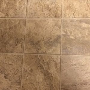 Meet your Posher, Janice